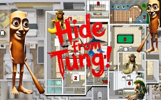 Image Hide from Tung!